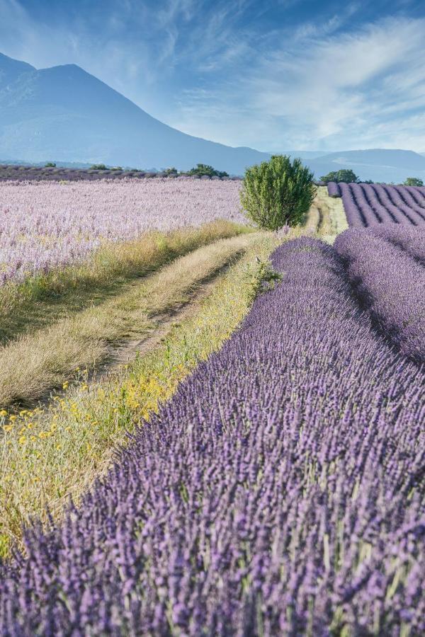 Gite Le Val Zen Valaurie - Drome Provencale Luaran gambar